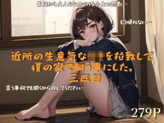 我决定从我的邻居绑架一个厚脸皮的女孩并将她留在我家。第三个
