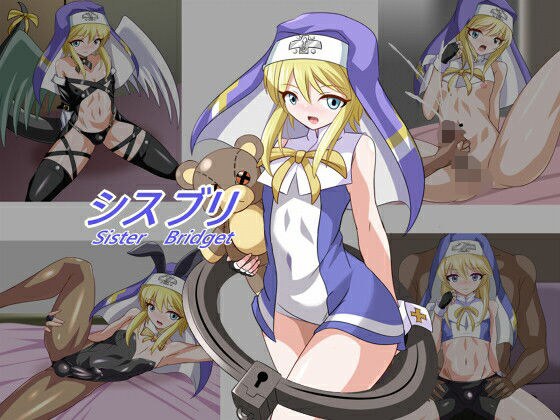 シスブリ メイン画像