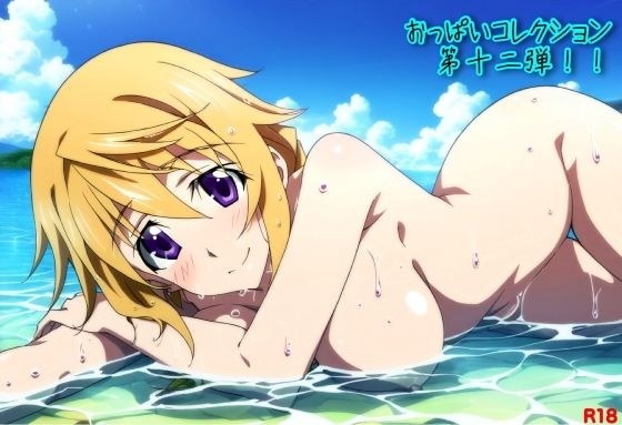 おっぱいコレクション第十二弾!!