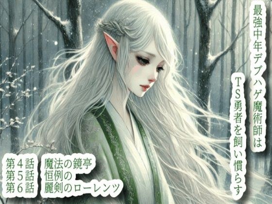 最強中年デブハゲ魔術師はTS勇者を飼い慣らす（2） メイン画像