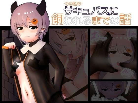 その辺のサキュバスに飼われるまでの話 メイン画像