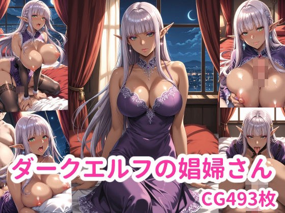 ダークエルフの娼婦さん メイン画像