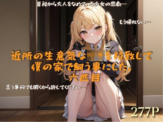 我决定从我的邻居绑架一个厚脸皮的女孩并将她留在我家。第六个
