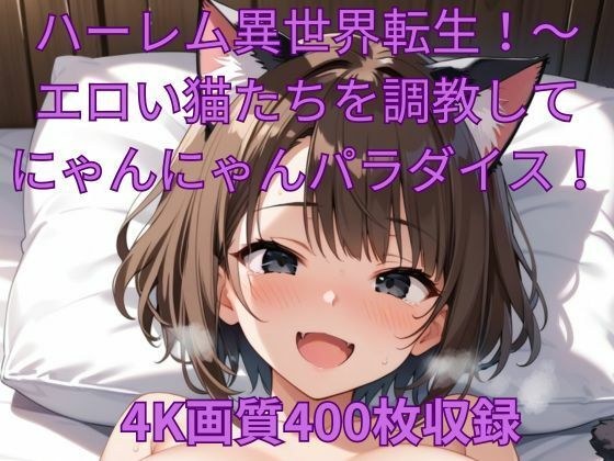 ハーレム異世界転生！〜エロい猫たちを調教してにゃんにゃんパラダイス！ メイン画像