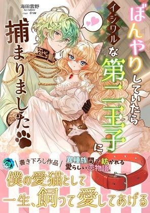 ぼんやりしていたらイジワルな第二王子に捕まりました メイン画像