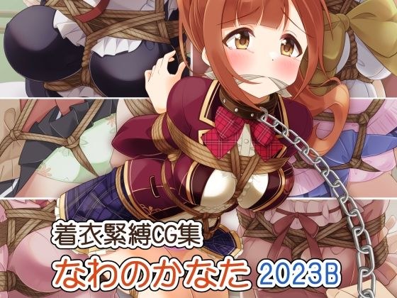 着衣緊縛CG集 なわのかなた 2023B メイン画像