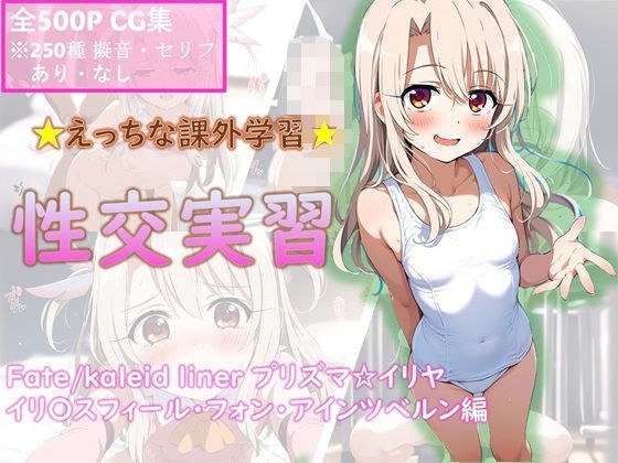 ☆えっちな課外学習☆性交実習 イリヤ編 メイン画像