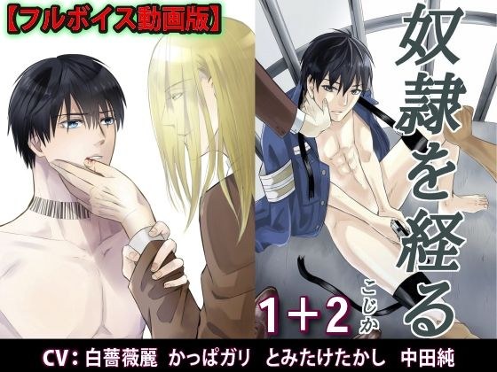 奴●を経る1＋2【フルボイス動画版】 メイン画像