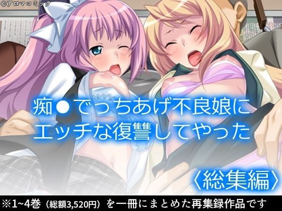 痴●でっちあげ不良娘にエッチな復讐してやった  ＜総集編＞ メイン画像