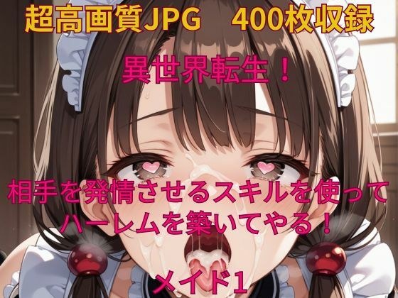 異世界転生！相手を発情させるスキルでハーレムを築いてやる！メイド1 メイン画像
