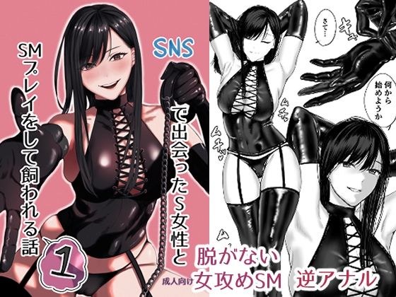 SNSで出会ったS女性とSMプレイをして飼われる話1 メイン画像
