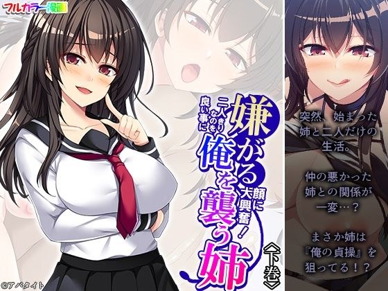 嫌がる顔に大興奮！二人きりなのを良い事に俺を襲う姉 下巻 メイン画像