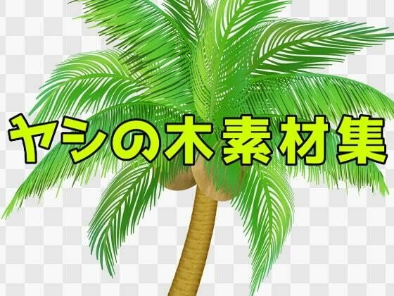 ヤシの木素材集 メイン画像