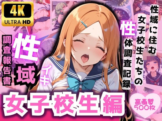 性域調査報告書 女子校生編 メイン画像
