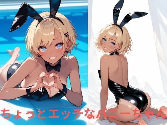 ちょっとエッチなバニーちゃん メイン画像