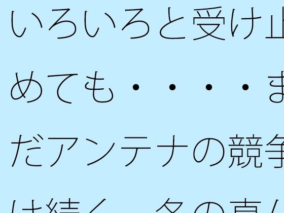 いろいろと受け止めても・・・・まだアンテナの競争は続く  冬の真ん中の朝・・・・・ メイン画像