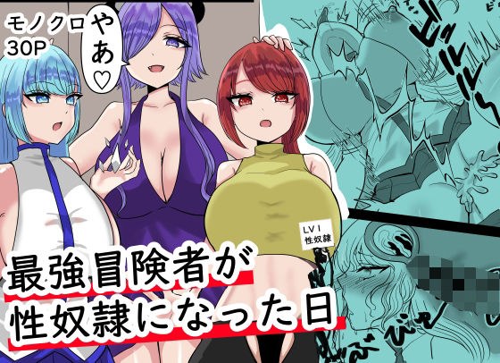 最強冒険者が性奴●になった日 メイン画像
