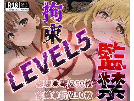 監禁拘束LEVEL5【フルカラー500枚】 メイン画像