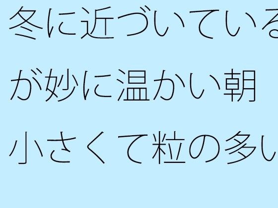 冬に近づいているが妙に温かい朝 小さくて粒の多い雨が降ってきた メイン画像