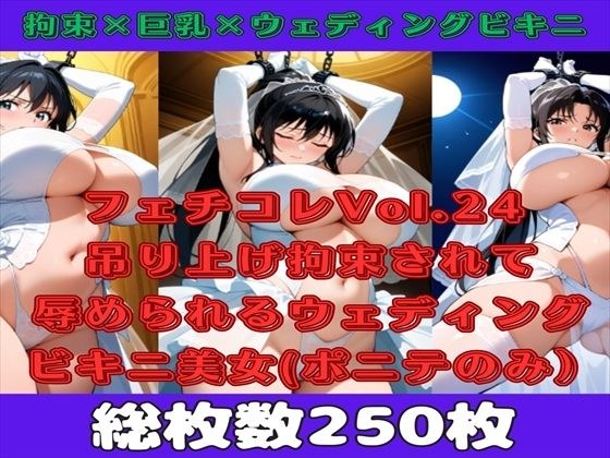 【微エロ】フェチコレVol.24吊り上げ拘束されて辱められるウェディングビキニの人妻(黒髪ポニテのみ)【総枚数250枚】 メイン画像
