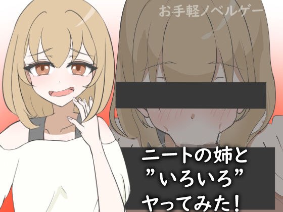 ニートの姉と’いろいろ’ヤってみた！ メイン画像