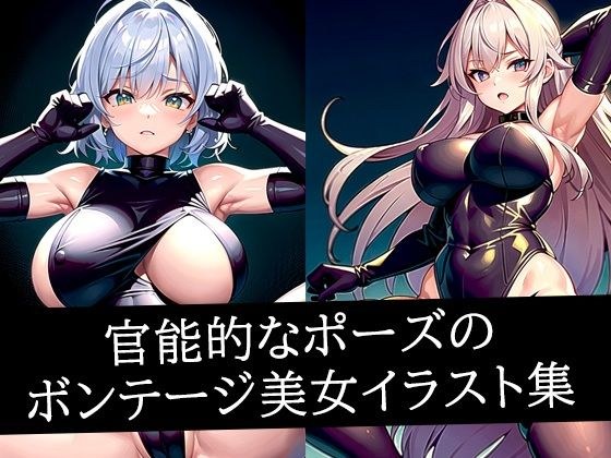 官能的なポーズのボンテージ美女イラスト集 メイン画像