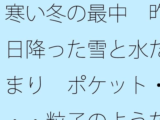 寒い冬の最中  昨日降った雪と水たまり  ポケット・・・粒子のようなことが メイン画像