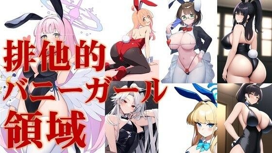 排他的バニーガール領域 メイン画像