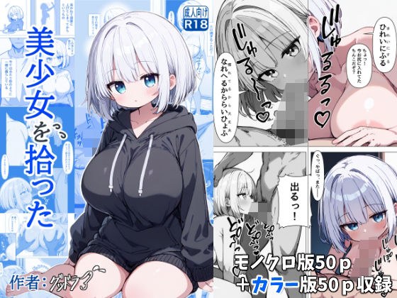 美少女を拾った メイン画像