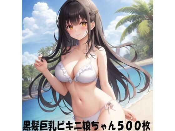 黒髪ビキニ娘ちゃん1〜500 メイン画像