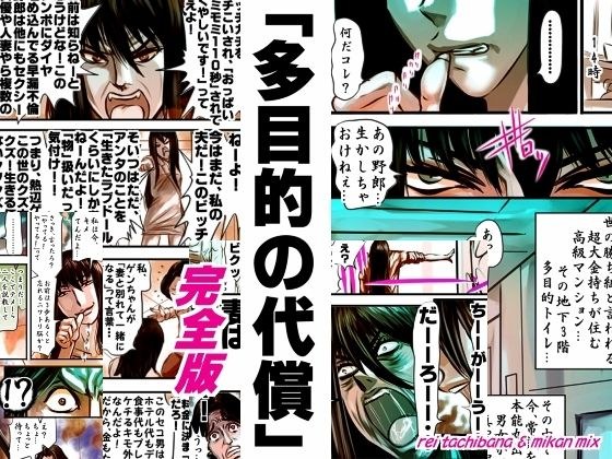 完全版 多目的の代償 メイン画像