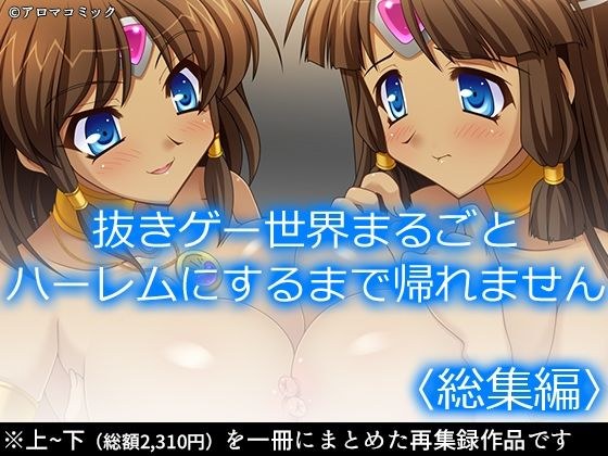 抜きゲー世界まるごとハーレムにするまで帰れません  ＜総集編＞ メイン画像