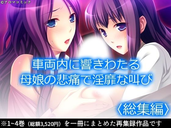 車両内に響きわたる母娘の悲痛で淫靡な叫び！  ＜総集編＞ メイン画像