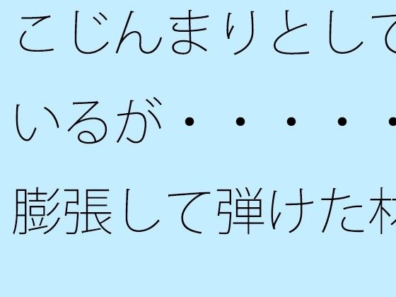 【無料】こじんまりとしているが・・・・・膨張して弾けた材料 メイン画像