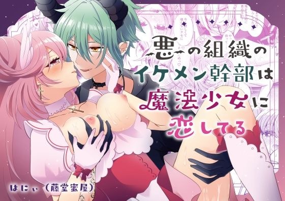 悪の組織のイケメン幹部は魔法少女に恋してる メイン画像