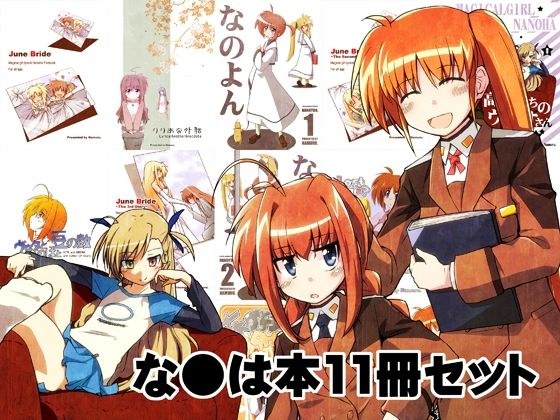 なのは本11冊セット メイン画像