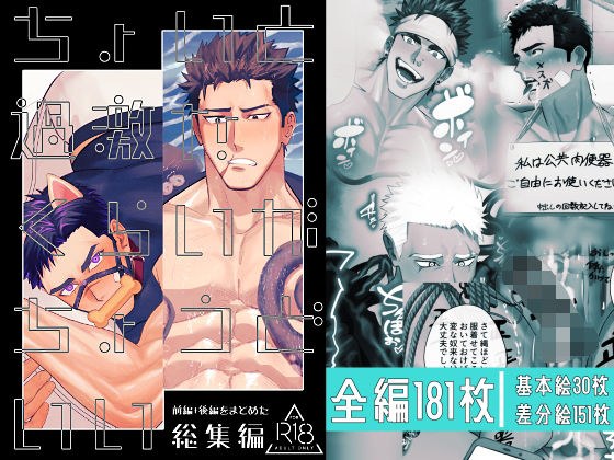 ちょいと過激なくらいがちょうどいい総集編 メイン画像