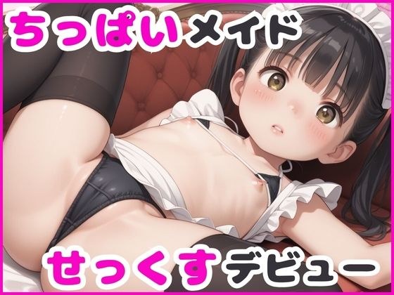 ちっぱいメイドのせっくすデビュー メイン画像