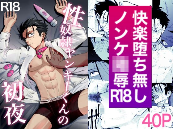 性奴●ヤンキーくんの初夜 メイン画像