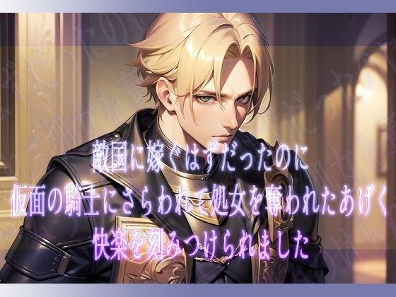 敵国に嫁ぐはずだったのに仮面の騎士にさらわれて処女を奪われたあげく快楽を刻みつけられました メイン画像