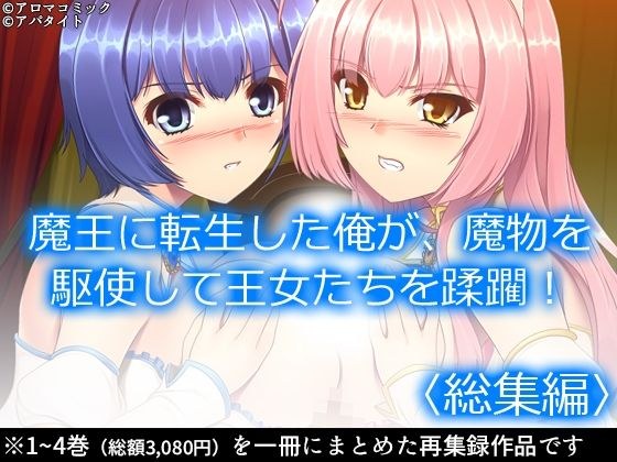 魔王に転生した俺が、魔物を駆使して王女たちを蹂躙！  ＜総集編＞ メイン画像