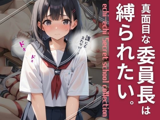 真面目な委員長は縛られたい。 メイン画像