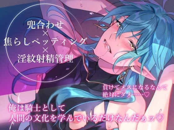 【小説】エルフ騎士様恥辱の御夜伽。絶倫ちんぽに雌伏せん メイン画像