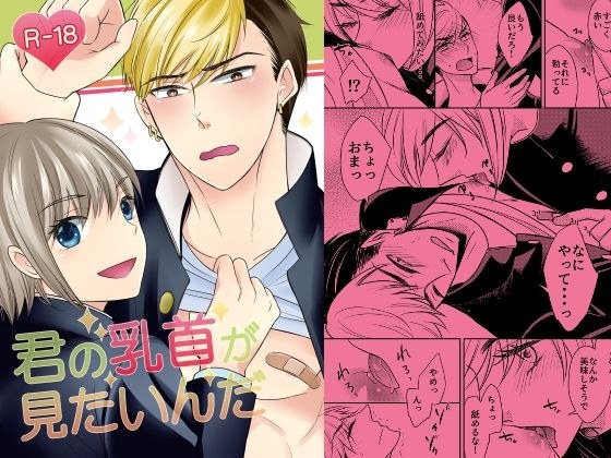 君の乳首が見たいんだ メイン画像