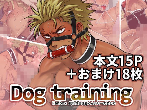 DOG TRAINING メイン画像