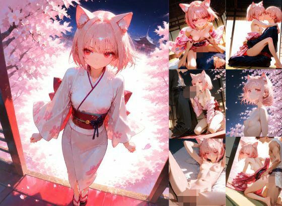 桜猫 着物で着衣ックス メイン画像