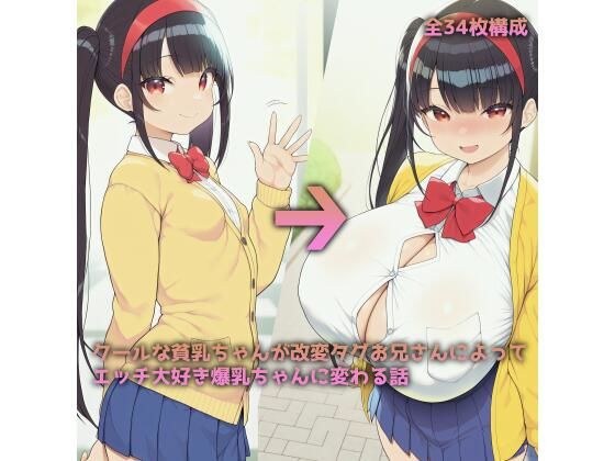 クールな貧乳ちゃんが改変タグお兄さんによってエッチ大好き爆乳ちゃんに変わる話 メイン画像