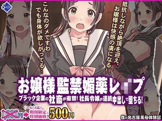 お嬢様監禁媚薬レ●プ-ブラック企業の社畜が復讐！社長令嬢が連続中出しで堕ちる！- メイン画像