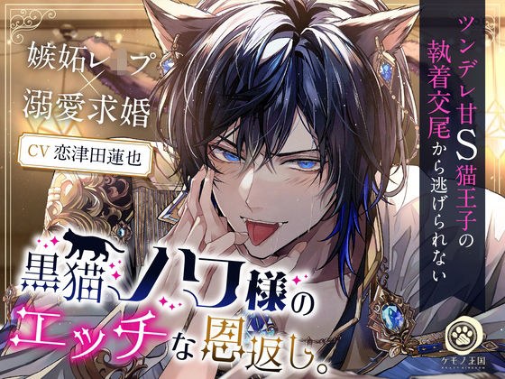 黒猫ノワ様のエッチな恩返し。〜ツンデレ甘S猫王子の執着交尾から逃げられない【嫉妬レ●プ×溺愛求婚】 メイン画像