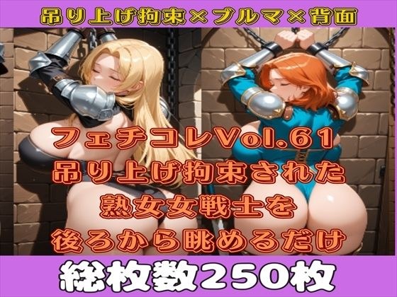 フェチコレVol.61 吊り上げ拘束された巨乳ビキニアーマー女戦士の熟女を後ろから眺めるだけ【総枚数250枚】 メイン画像